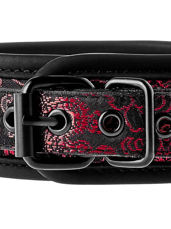 Blaze - Collare + Guinzaglio Drago Nylon Nero Rosso
